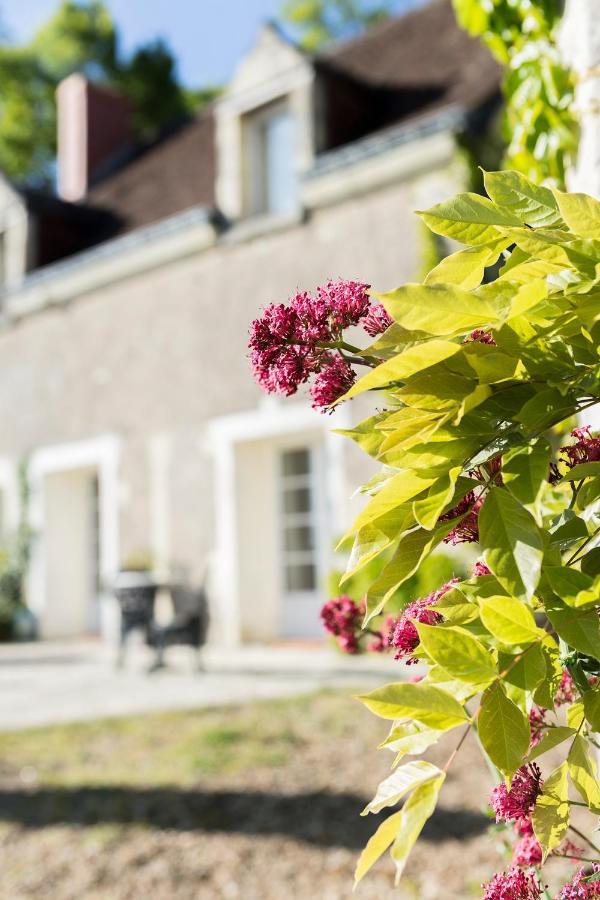 Les Terrasses Suite Et Loft De Campagne Avon-les-Roches Kültér fotó
